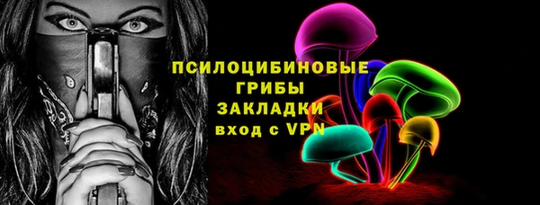 шишки Волосово