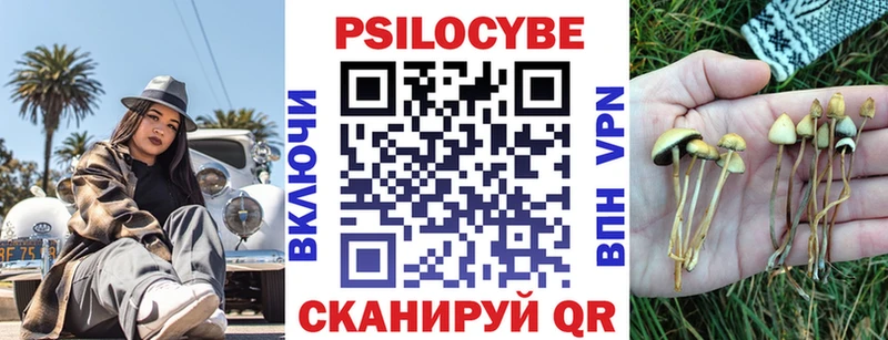 Галлюциногенные грибы Magic Shrooms  Купить где  Судак 